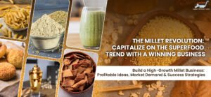pahadi grains pulses and millets processing business plan