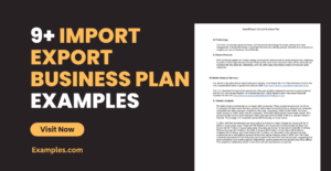 small scale import export business plan 2025