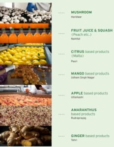 uttarakhand fruit processing and packaging business plan 2025